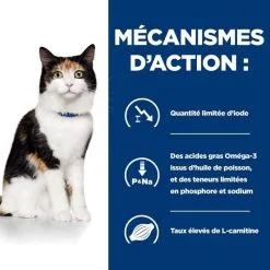 Hill's Prescription Diet Hill's Prescription Diet Feline Y/D 3 Kg -Negozio online cibo per gatti 52742042503 5 prescription diet chat y d croquettes poulet 1 1