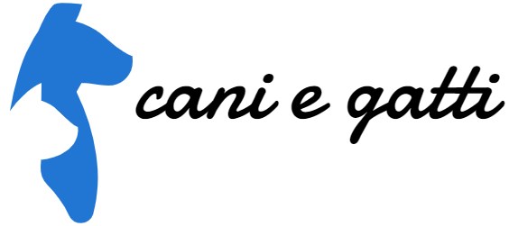 Negozio online cibo per gatti