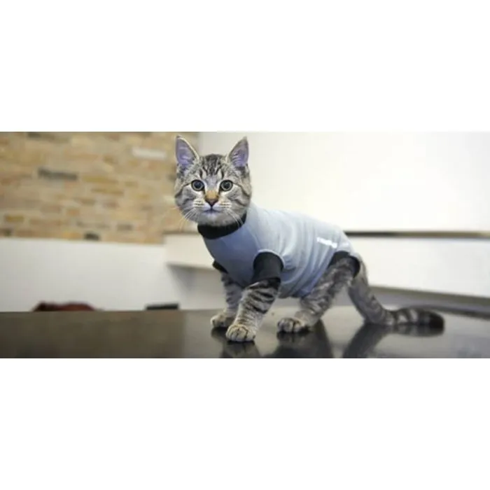 Buster Body Suit Gatto XXS 4 Buster Body Suit Gatto XXS - immagine 2