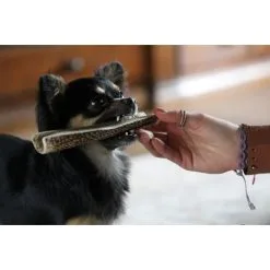 Negozio online cibo per gatti -Negozio online cibo per gatti corno di cervo intero xxl 300 400gr snack cane 1