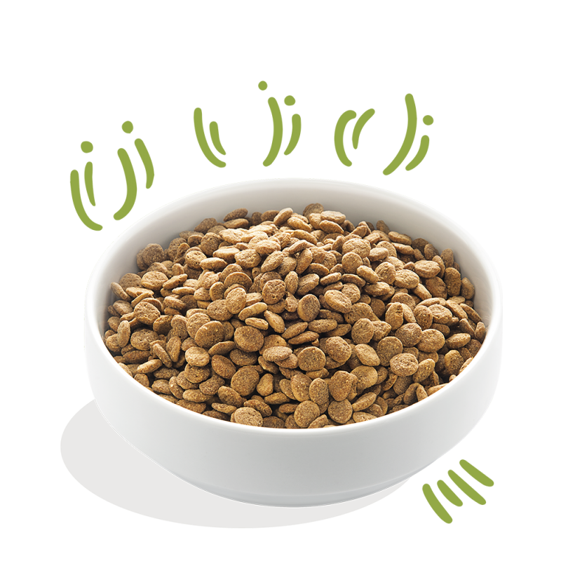 Edgard & Cooper Edgard&Cooper Adult Agnello Fresco Crocchette Cane 4 Edgard & Cooper Edgard&Cooper Adult Agnello Fresco Crocchette Cane - immagine 2