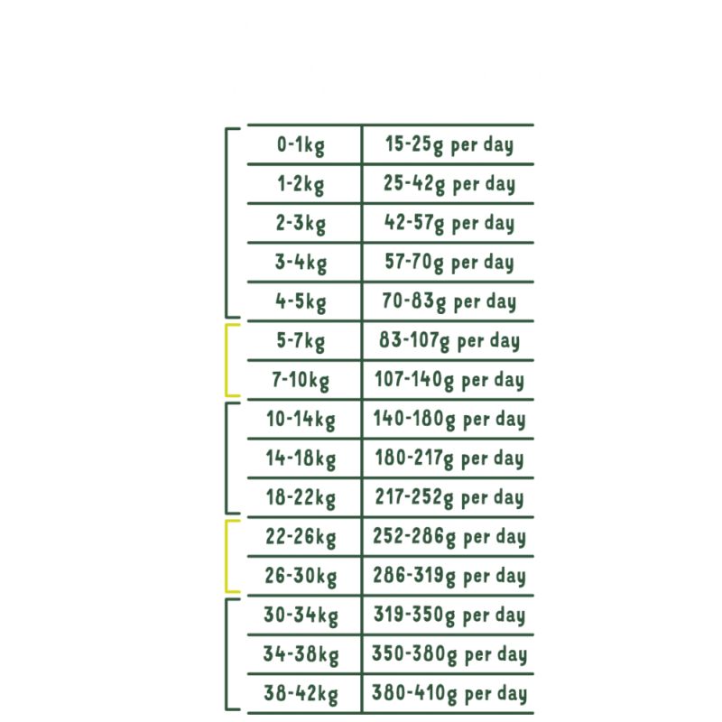 Edgard & Cooper Edgard&Cooper Adult Agnello Fresco Crocchette Cane 5 Edgard & Cooper Edgard&Cooper Adult Agnello Fresco Crocchette Cane - immagine 3