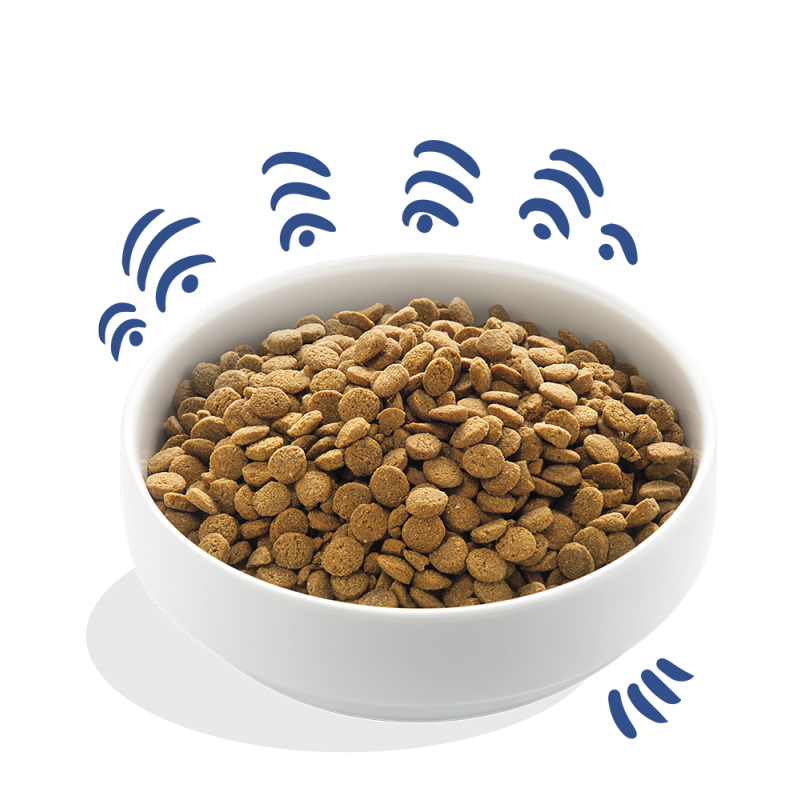 Edgard & Cooper Edgard&Cooper Adult Salmone Norvegese Crocchette Cane 4 Edgard & Cooper Edgard&Cooper Adult Salmone Norvegese Crocchette Cane - immagine 2