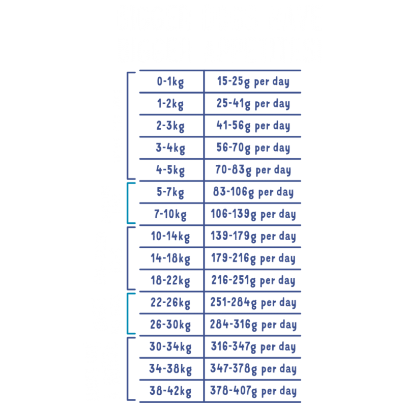 Edgard & Cooper Edgard&Cooper Adult Salmone Norvegese Crocchette Cane 5 Edgard & Cooper Edgard&Cooper Adult Salmone Norvegese Crocchette Cane - immagine 3