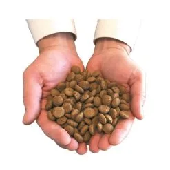 Felichef Crocchette BIO Gatto Sterilizzato 5 Kg 8 Felichef Crocchette BIO Gatto Sterilizzato 5 Kg -Negozio online cibo per gatti main avec croquettes 3 10