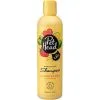Pet Head Shampoo Felin' Good 300 Ml -Negozio online cibo per gatti pet head shampooing felin good 300 ml