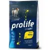 Prolife Mini Pollo E Riso Nutrigenomic Crocchette Cane -Negozio online cibo per gatti prolife mini pollo e riso nutrigenomic crocchette cane