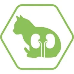 Purina Proplan Optirenal Adult Cat Sterilised Salmone 10 Kg -Negozio online cibo per gatti purina proplan optirenal adult cat sterilised saumon 10 kg3