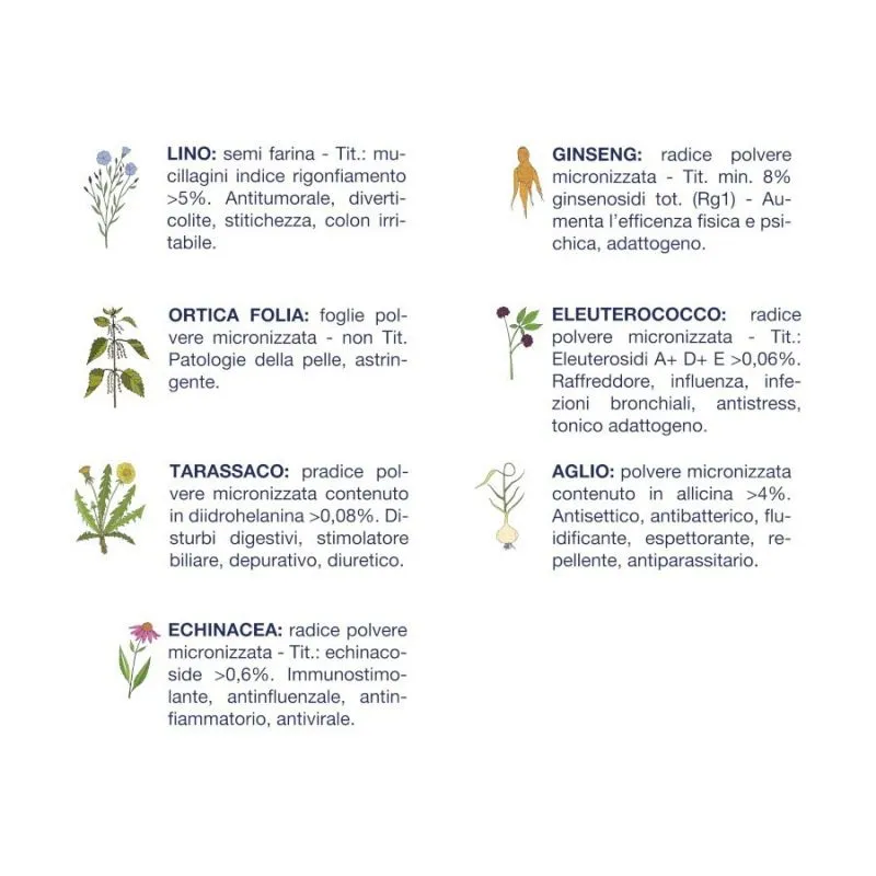 Vet Line Adulti Pesce E Riso 3kg Crocchette Cane 5 Vet Line Adulti Pesce E Riso 3kg Crocchette Cane - immagine 3