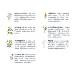 Vet Line Adulti Pesce Taglia Piccola 3kg Crocchette Cane -Negozio online cibo per gatti vet line adulti pesce taglia piccola 3kg crocchette cane 2