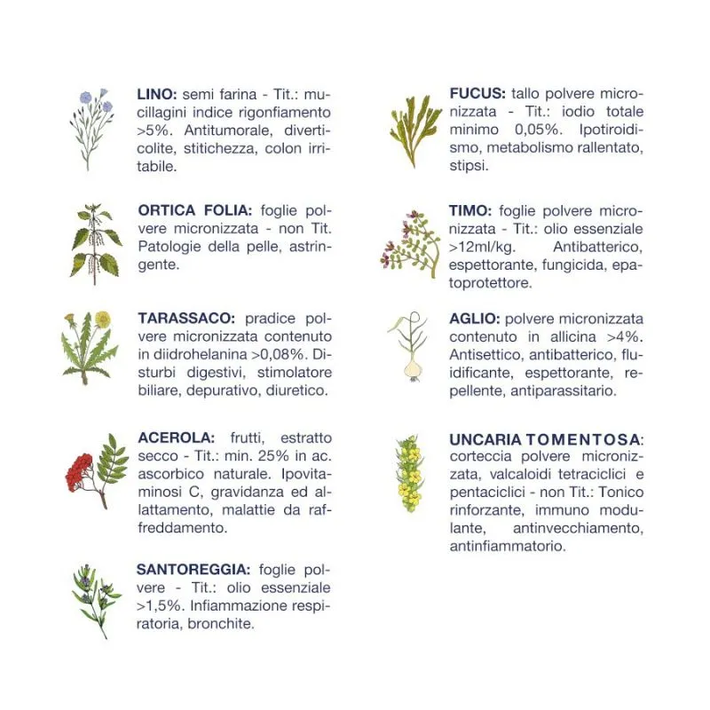 Vet Line Salute Pesce Taglia Piccola 12,5kg Crocchette Cane 5 Vet Line Salute Pesce Taglia Piccola 12,5kg Crocchette Cane - immagine 3